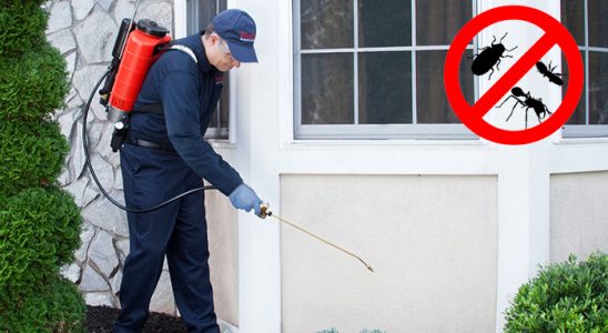 Yenipazar Kene İlaçlama böcek ilaçlama ve haşere kontrolü — ilaclama-tr.com